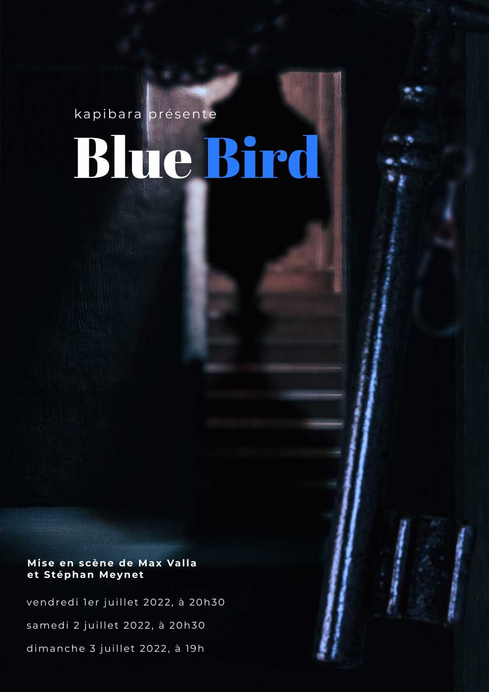 Blue Bird - Affiche