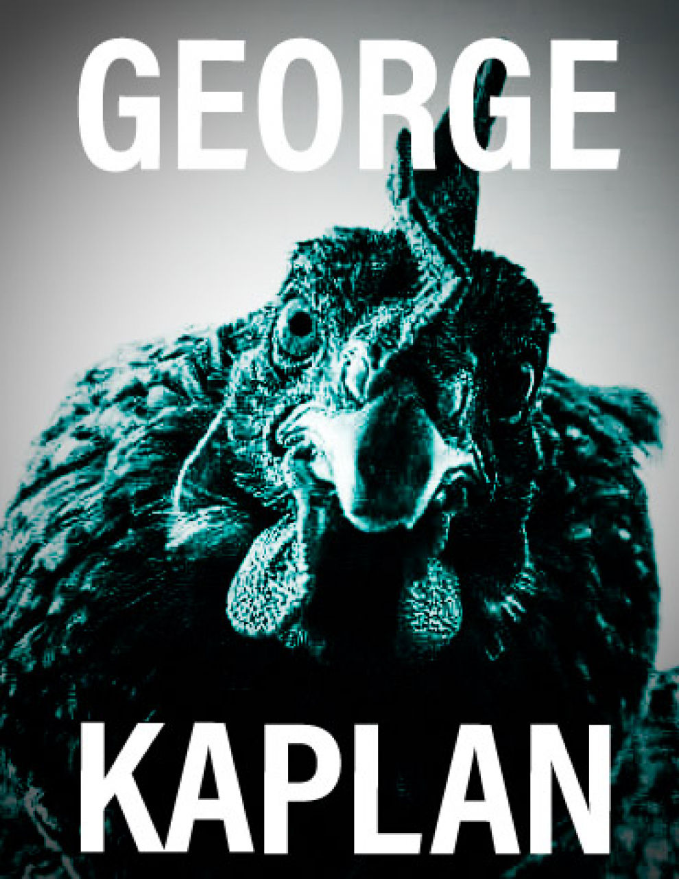 George Kaplan - Affiche